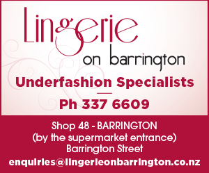 Lingerie on Barrington logo